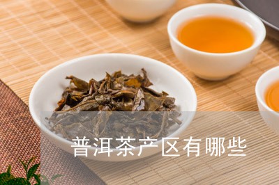 普洱茶产区有哪些/2023041051604