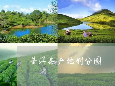 普洱茶产地划分图/2023041016159