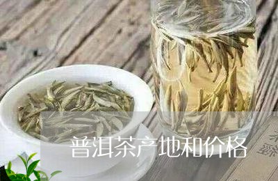 普洱茶产地和价格/2023031613946