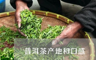 普洱茶产地和口感/2023041054859