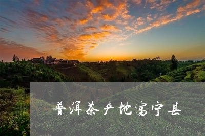 普洱茶产地富宁县/2023031610649