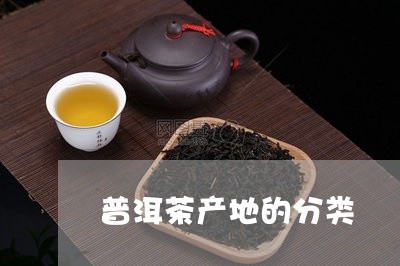 普洱茶产地的分类/2023041267170