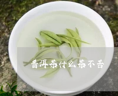 普洱茶什么茶不苦/2023031795058