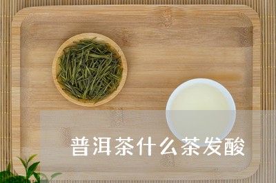 普洱茶什么茶发酸/2023031732513