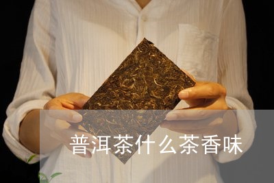 普洱茶什么茶香味/2023031722592