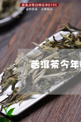 普洱茶今年市场价/2023033025160