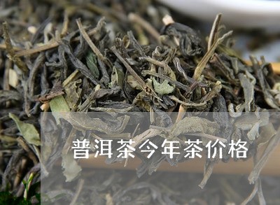 普洱茶今年茶价格/2023031771827