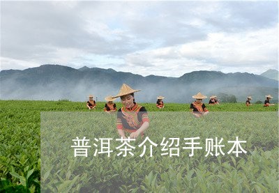 普洱茶介绍手账本/2023031748412