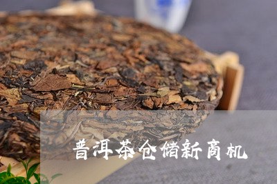 普洱茶仓储新商机/2023041010396