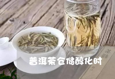 普洱茶仓储醇化时/2023041036249