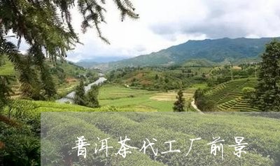 普洱茶代工厂前景/2023040195148