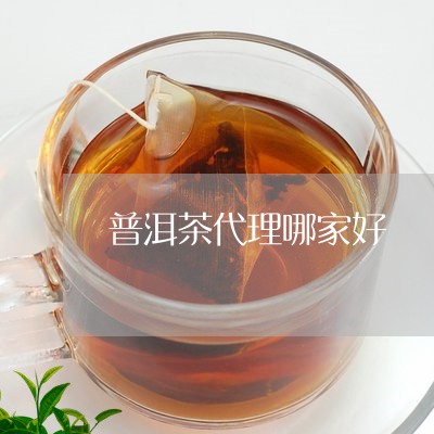 普洱茶代理哪家好/2023032994047