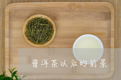 普洱茶以后的前景/2023031763604