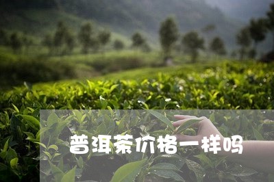 普洱茶价格一样吗/2023033030501