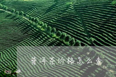 普洱茶价格怎么查/2023041194280