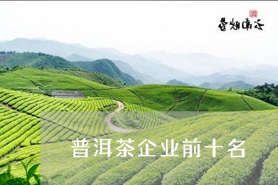 普洱茶企业前十名/2023033086269