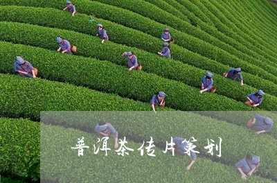 普洱茶传片策划/2023033050594