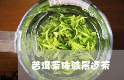 普洱茶体验景迈茶/2023041203847