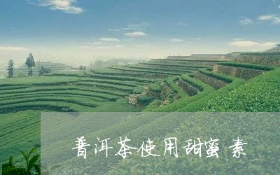 普洱茶使用甜蜜素/2023031705979