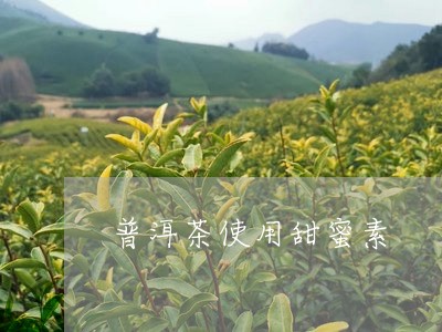 普洱茶使用甜蜜素/2023041226049