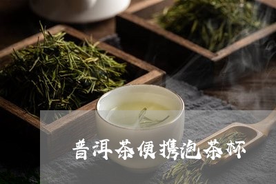 普洱茶便携泡茶杯/2023040972748