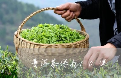 普洱茶保存10年/2023040910684