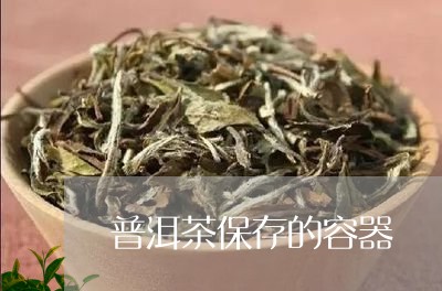 普洱茶保存的容器/2023040952505