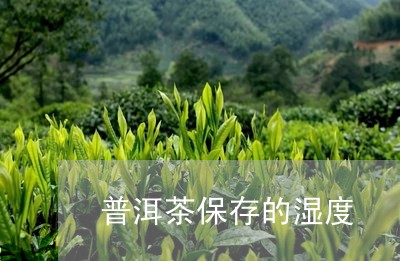 普洱茶保存的湿度/2023041387257