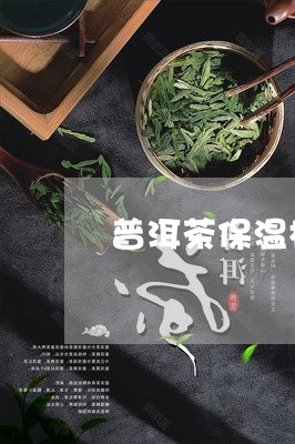 普洱茶保温杯泡法/2023041305048