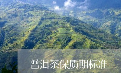 普洱茶保质期标准/2023031620615