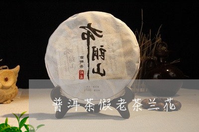 普洱茶假老茶兰花/2023041130392