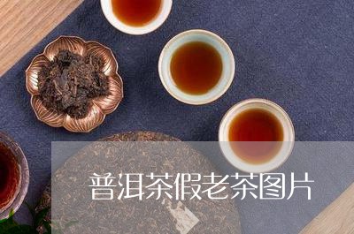 普洱茶假老茶图片/2023031603938