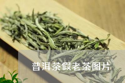 普洱茶假老茶图片/2023041187158