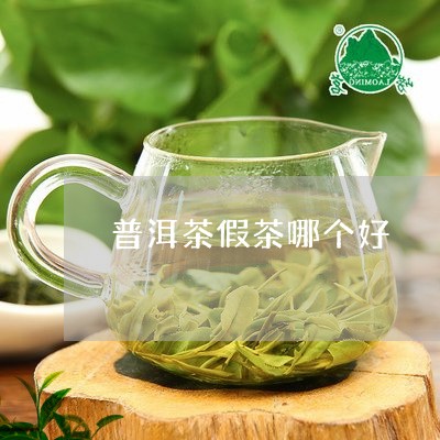 普洱茶假茶哪个好/2023041119493