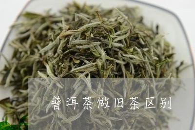 普洱茶做旧茶区别/2023041151616