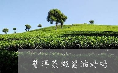 普洱茶做酱油好吗/2023041384049