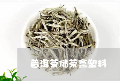 普洱茶储茶盒塑料/2023041202514