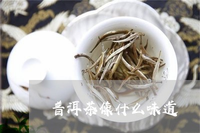 普洱茶像什么味道/2023040924835