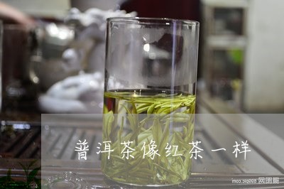 普洱茶像红茶一样/2023031676061