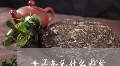 普洱茶兑什么好处/2023041037415