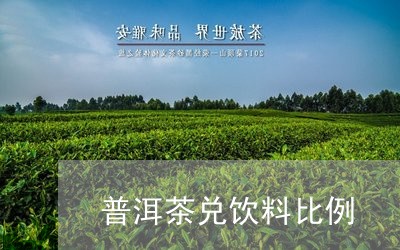 普洱茶兑饮料比例/2023041347482