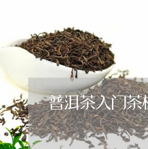 普洱茶入门茶样式/2023031824969