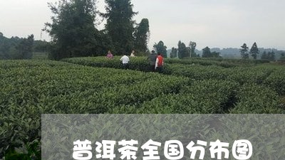 普洱茶全国分布图/2023041391616