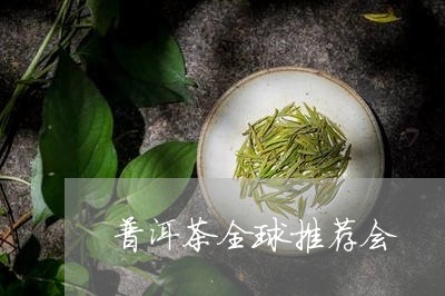 普洱茶全球推荐会/2023041016170