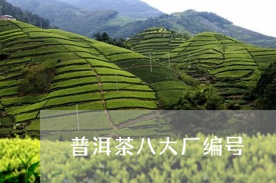 普洱茶八大厂编号/2023033070704