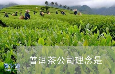 普洱茶公司理念是/2023041311938