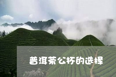 普洱茶公杯的选择/2023040183835