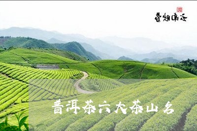 普洱茶六大茶山名/2023033019371