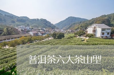 普洱茶六大茶山型/2023041302847