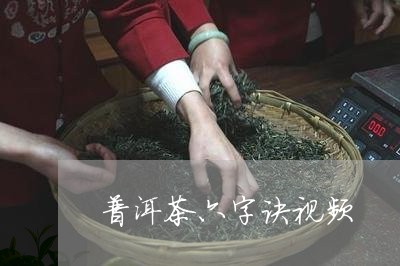 普洱茶六字诀视频/2023040130724